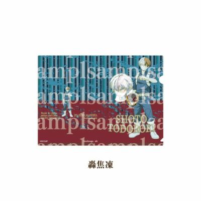 僕のヒーローアカデミア　Heroes&villains pattern and Color　A6クリアフォルダー　轟焦凍