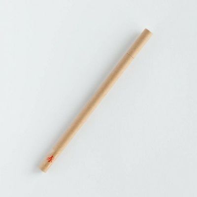 大人の鉛筆芯　2mm替芯　赤